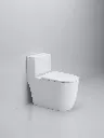 WC-011 (5).webp