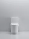WC-011 (4).webp