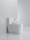 WC-011 (3).webp