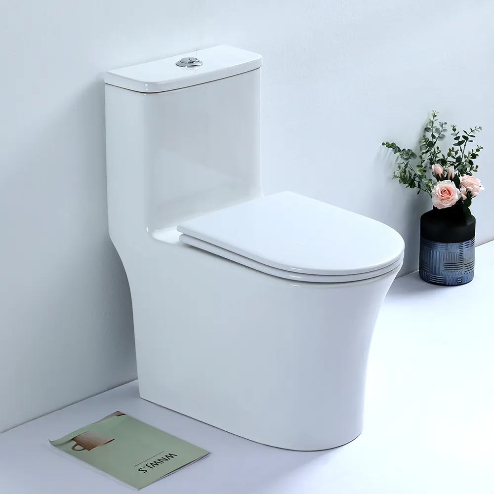 wc-010 foto 1.webp
